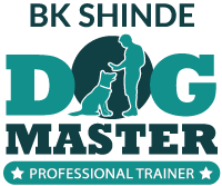 BK-Shinde_Logo